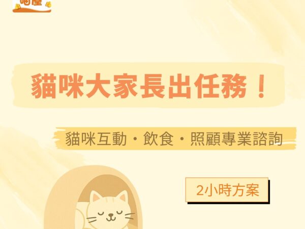 貓咪大家長出任務！(2小時)